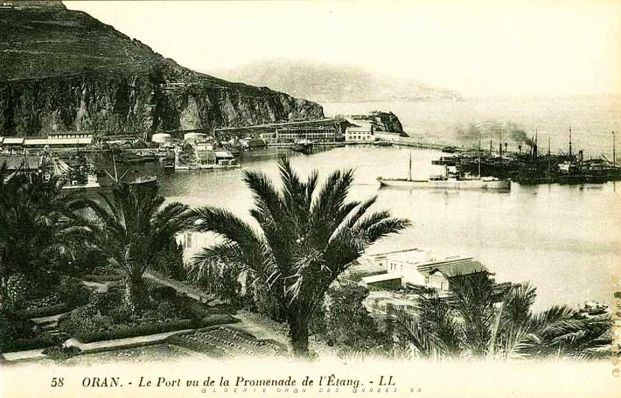 PO e- 429.jpg